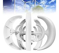 Aerogenerador 3000W Generador Viento,Turbina Eólica Vertical Kit con Controlador 5 Cuchillas Ajuste Automático De Dirección Viento,Para Barcos Terrazas Cabañas O Hogar,White-12V