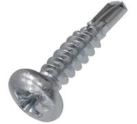 AERZETIX - Juego de 100 - Tornillo para chapa Autoperforante - Cabeza cilíndrica abombada - Ø4.2x19mm - DIN 7504 N - Acero galvanizado - Huella Cruciforme - Bricolaje - Renovación - C44720