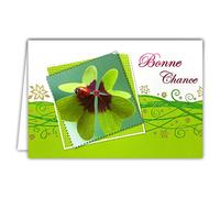 AFIE 15-6170 - Tarjeta de buena suerte, diseño de trébol de 4 hojas, diseño de mariquita, flores doradas, volúmenes verdes brillantes, interior impreso sobre formato 12 x 17,5 cm, fabricado en Europa