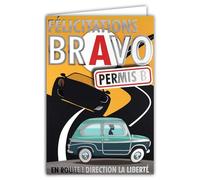 AFIE Tarjeta de felicitaciones con licencia de conducir 68-5003 Permiso B para conducir coche, color plateado brillante con sobres de 12 x 17,5 cm, creación de impresión, fabricación francesa