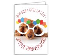 AFIE - Tarjeta de feliz cumpleaños con sobres ilustrados, formato 17,5 x 12 cm, diseño de perro divertido divertido con gafas para hacer la fiesta, diseño de la fabricación francesa 69-6201