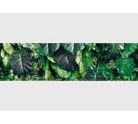 AG Design Cenefa autoadhesiva para jardín vertical 3D, AWB 8546, resistente al agua, decoración para paredes, muebles, papel pintado, revestimientos de paredes y puertas, lámina, multicolor, ancho 500