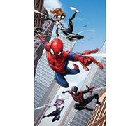 AG Design Cortinas - Marvel Spider-Man - Cortinas para niños - Impresión fotográfica 3D - 140 x 245 cm - 1 Parte - FCSL 7158