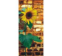 AG Design FTNV 2841 Mural fotográfico para la Pared, Multicolor, 90 x 202