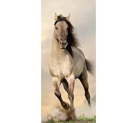 AG Design - Mural fotográfico para la Pared - No Tejido - Caballo galopando - Papel Pintado fotográfico - Póster Gigante de Pared - 90 x 202 cm - 1 Parte - FTNV 2928