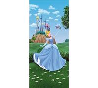 AG Design - Mural fotográfico para la Pared - No Tejido Kids Disney - Princesas Disney - Papel Pintado fotográfico - Póster Gigante de Pared - 90 x 202 cm - 1 Parte - FTDNV 5411