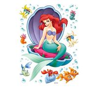 AG Design - Pegatinas para la pared Disney - Autoadhesivo - Princesas Disney - Vilino decorativo - 42,5 x 65 cm, 1 parte - DK 1755