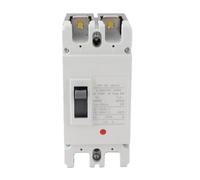 Ahgsup Disyuntor de Caja Moldeada, 200 A, Respetuoso con el Medio Ambiente | Material retardante de llama, uso de -20 ℃ a 60 ℃, protección contra sobrecarga