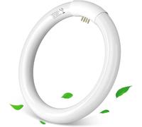 Aigostar/EXTRASTAR - T9 Tubo Circular Fluorescente redondo G10q， 32W， luz fria blanca 6500K， 220-240V， 2100lm， 50Hz， 30cm. [Clase de eficiencia energética ENVIO MARCA SEGUN DISPONIBILIDAD MISMA