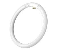 Aigostar - T9 Tubo Circular Fluorescente G10q, 32W, luz fria 6500K, 220-240V, 2100lm, 50Hz, 30cm.