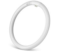 Aigostar - T9 Tubo Circular Fluorescente G10q, 40W, Tubo de luz anular, Ahorro de energía, luz fria 6500K, 220-240V, 2800lm, 40cm.