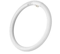 Aigostar - T9 Tubo Circular Fluorescente G10q, 40W, Tubo de luz anular, Ahorro de energía, luz fria 6500K, 220-240V, 2800lm, 40cm.