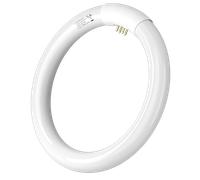Aigostar - T9 Tubo de luz de anillo G10q, Ahorro de energía, 22w, luz fria 6500k, 220-240V, 1200lm, 21cm.