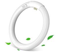 Aigostar - T9 Tubo de luz de anillo G10q， Ahorro de energía， 22w， luz fria 6500k， 220-240V， 1200lm， 21cm.