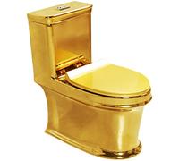 Aioneer Inodoro de doble descarga para hotel, inodoro sifónico de cerámica silenciosa de altura universal para el baño del hogar A- 350 mm, B-350 mm, B-220 mm (A 220 mm)
