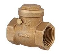AKLOSIPY Swing Check Valve in Brass One Way Control for Plumbing