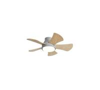 Akunadecor - Ventilador De Techo Metal Gris Gregario