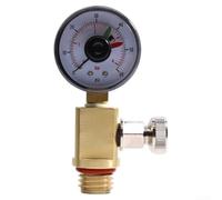 Alanmoship RV40600 Válvula de alivio de aire de latón para sistemas de filtro de piscina serie 4000, pieza de repuesto de liberación de presión de aire compatible con fns, 23,1 x 16,7 mm