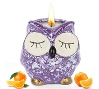 Alaoo Velas Perfumadas para Mujer,Vela perfumada de búho Encantador,Morado