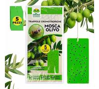 Albagarden - Trampa cromotrópica Verde para Mosca del Olivo - Trampa Adhesiva sin Veneno, Hojas atrapa Insectos, protección para Olivares y Agricultura biológica - 5 Paneles pegajosos