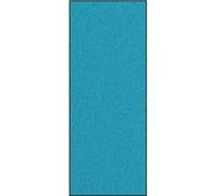 Alfombra de entrada de la marca vidaXL, color cian y , de 120 x 300 cm, 100% poliamida