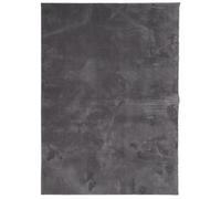 vidaXL Alfombra de Pelo Corto y Suave Lavable, Tapete de Suelo, Alfombrilla Antideslizante, Alfombra para Salón Dormitorio Pasillo, Gris Antracita