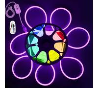 ALITOVE Tira de luces LED de neón RGB, 20 m, 230 V, conexión directa con mando a distancia, cambio de color, 80 ledes/m, resistente al agua, para jardín, piscina, fiesta, decoración del hogar (sin