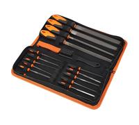 Alomejor Juego de Limas Profesionales de 18 Piezas para Madera y Metal, Acero T12, de Goma Ergonómico, Estuche de Almacenamiento Compacto