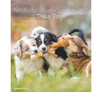 Alpha Edition - Lindos perros niños 2025 calendario de imágenes, 30 x 40 cm, calendario con motivos de perros de alta calidad, fases de la luna, semanas calendario, fechas de vacaciones DE/AT/CH y