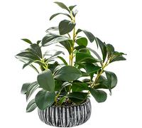 AlphaAcc Plantas suculentas artificiales, decoración de plantas suculentas falsas para interiores, planta falsa con maceta rústica de arcilla negra para habitación de granja, baño, dormitorio, cocina,
