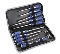 Alyco 119060 Juego Destornilladores, Set de 22