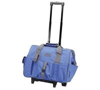 Alyco - Bolsa para Herramientas de Nylon, con Sistema Trolley de Ruedas y Asa Extensible - 198150
