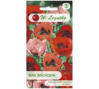 Amapola oriental mezcla