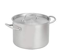 Amazon Basics Olla de acero inoxidable con revestimiento de aluminio y tapa, 9.5 litros, Plateado