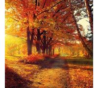 Ambiente 20 Pack Servilletas Árboles de otoño en el Parque, 33 x 33 cm