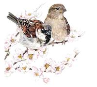 Ambiente SERVILLETAS 33x33cm 20UD Sparrows Blossom