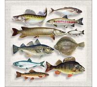 Ambiente Servilletas de 33 x 33 cm, diseño de peces variety - Butt Lucioperca bacalao trucha 20 unidades por paquete