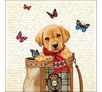 Ambiente Servilletas para el almuerzo, 33 x 33 cm, diseño: Buddy - Cachorro labrador Golden Retriever 20 unidades por paquete