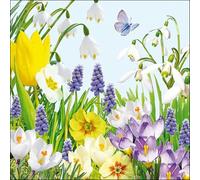 ambiente - Servilletas - Spring Time - Primavera/flores/mariposa