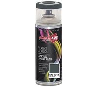 AMBRO-SOL - Pintura acrílica en spray, color Gris Hierro, RAL 7011, resultado profesional en múltiples superficies, exteriores e interiores, 400 ml, El embalaje puede variar