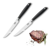Amefa ENDERFIRE - Juego de 2 piezas para bistec | Corredores con empuñadura de plástico | Schwarz | Wellenschliff Messer | Spezialklingenstahl pulido de alto brillo | Con funda | Grill Zubehör | Juego