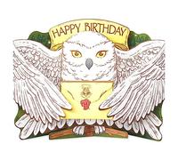 American Greetings Tarjeta de cumpleaños desplegable de Harry Potter (llena de magia)