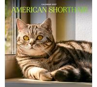 American Shorthair Calendar 2027: Cat Portraits and Breed Scenes