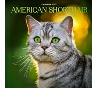 American Shorthair Calendar 2027: Cat Portraits and Everyday Scenes