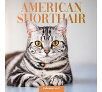 American Shorthair Calendar 2027: Cat Portraits and Home Scenes