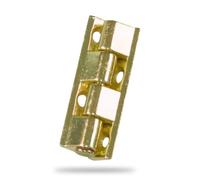 Amig - Bisagra para Armarios, Zamak, Latonado, 40 X 9 mm, Desmontable, Material resistente duradero, Fácil de Instalar