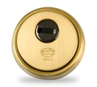 Amig - Escudo de seguridad Mod. 31 - Latón - Dorado - Anillo exterior hueco - Ø65 mm - Con placa antitaladro - Con tornillos y soporte - Para cilindro Europerfil EN1303 - Cuerpo acero sinterizado