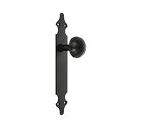 Amig - Pomo - Giratorio y con Placa Lisa - 280 x 45 x 2 mm - Pomo de Ø 55 mm - Ideal para todo Tipo de Puertas de Paso en Interior - Placa de Acero y Pomo de Zamak Negro