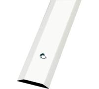 Amig - Tapajuntas para Suelo - 985 mm x 34 mm - Tira de Transición Liso y con Fijación Mediante Atornillado - Cubrecantos Embellecedor para Uniones - Acero Inoxidable 18/8 Plateado Mate