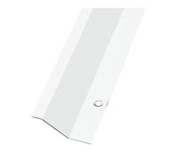 Amig - Tapajuntas para Suelo - 985 mm x 40 mm - Tira de Transición en Escalón y con Fijación Mediante Atornillado - Cubrecantos Embellecedor para Uniones - Acero Inoxidable 18/8 Plateado Mate